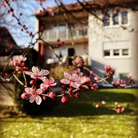 Ferienwohnung Im Aalbachtal - Uettingen Bei Wuerzburg Bagian luar foto