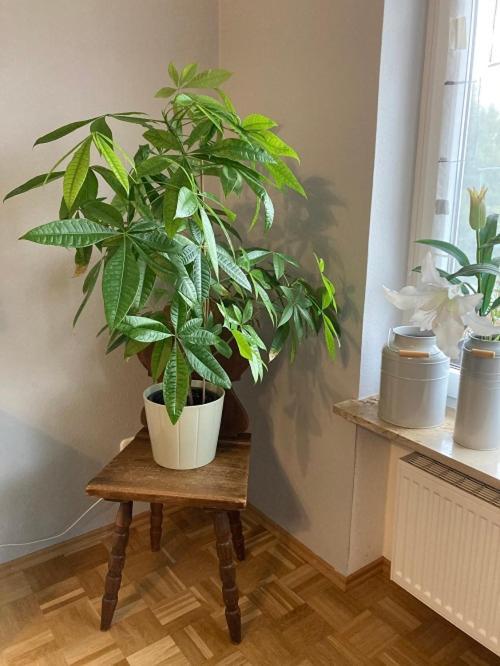 Ferienwohnung Im Aalbachtal - Uettingen Bei Wuerzburg Bagian luar foto
